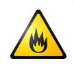 Flame Virus